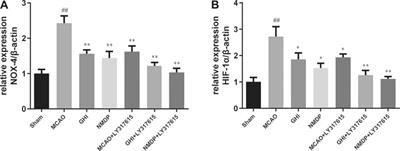 Guhong Injection Alleviates Cerebral Ischemia–Reperfusion Injury via the PKC/HIF-1α Pathway in Rats